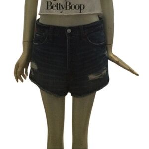 Abercrombie & Fitch Denim Button Fly Shorts Size 24